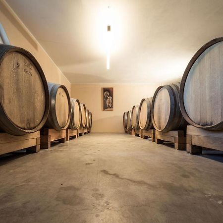 Weingut Dona Villa Appiano Sulla Strada Del Vino Exterior foto
