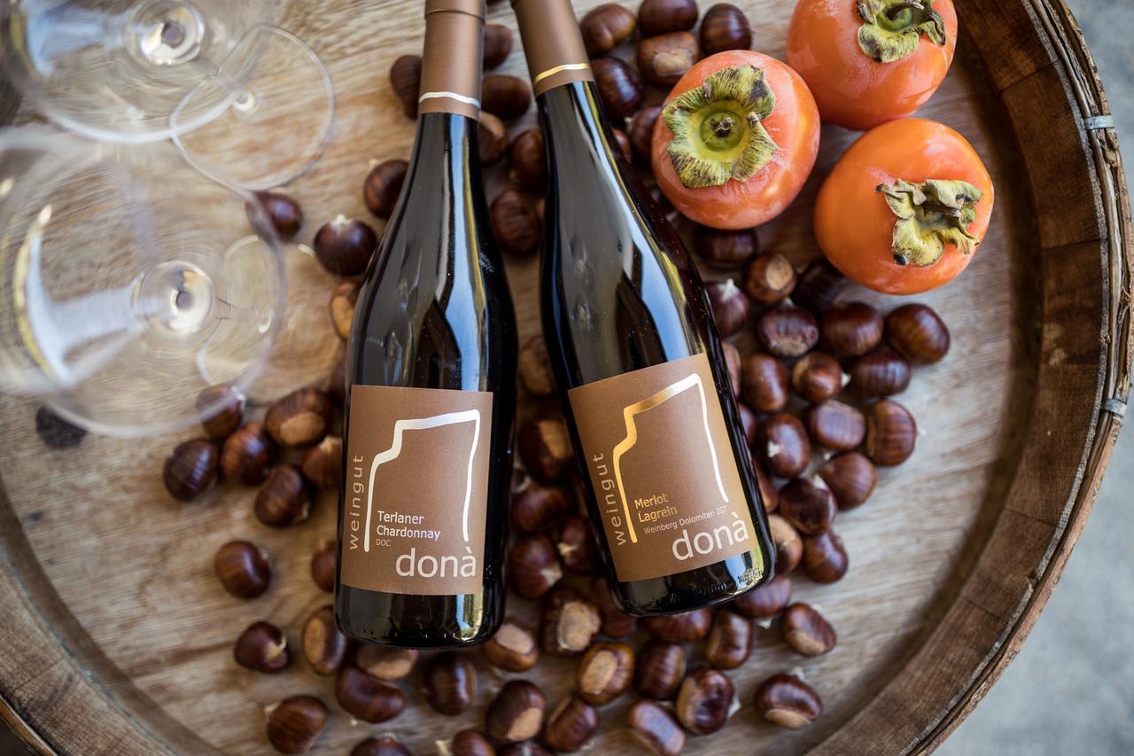 Weingut Dona Villa Appiano Sulla Strada Del Vino Exterior foto