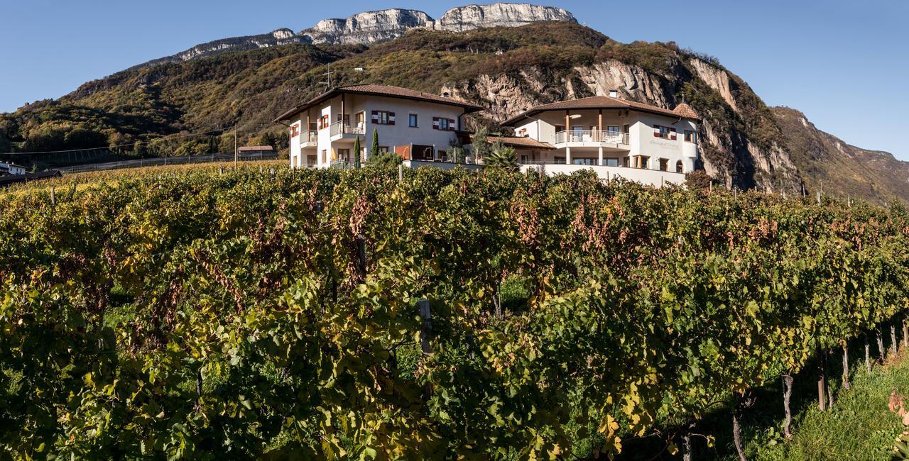 Weingut Dona Villa Appiano Sulla Strada Del Vino Exterior foto