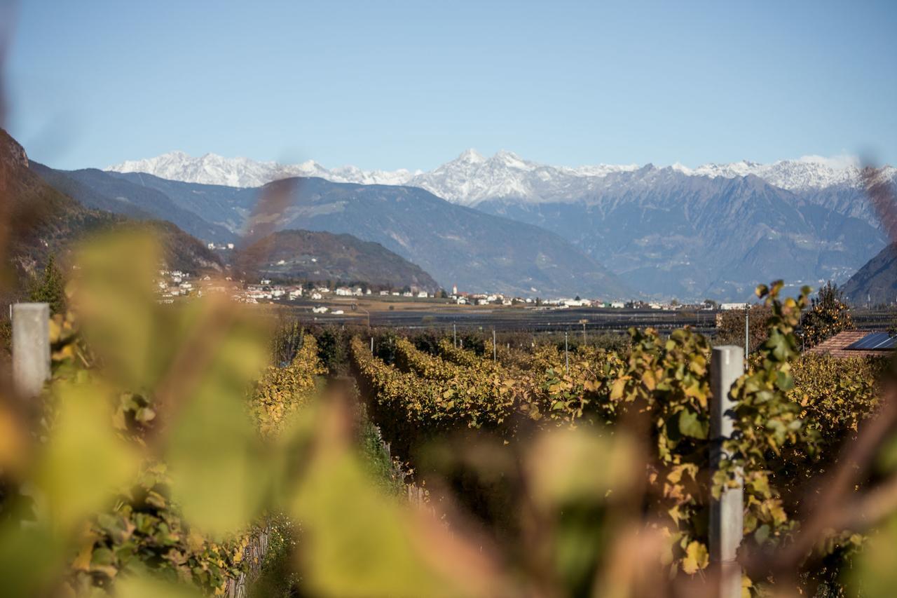 Weingut Dona Villa Appiano Sulla Strada Del Vino Exterior foto